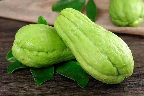 樟树免费吃瓜,樟树邀您共享夏日清凉 第1张 樟树免费吃瓜,樟树邀您共享夏日清凉 第1张